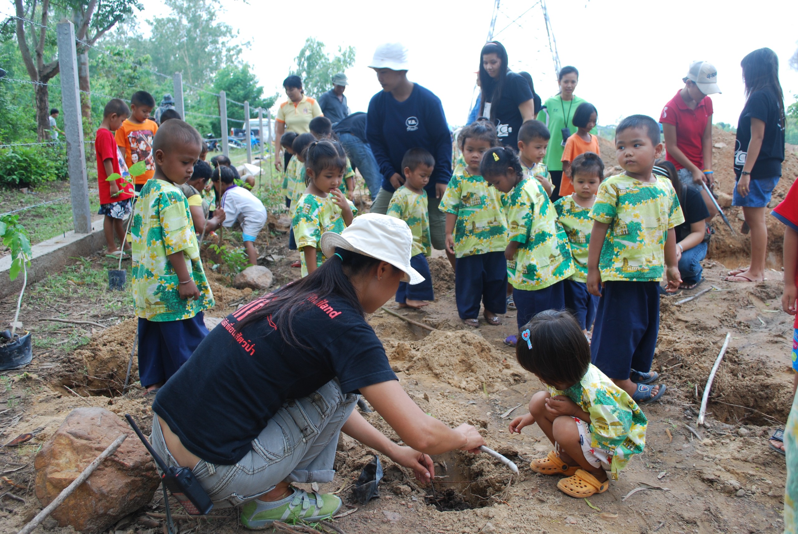 Forest Restoration And Conservation