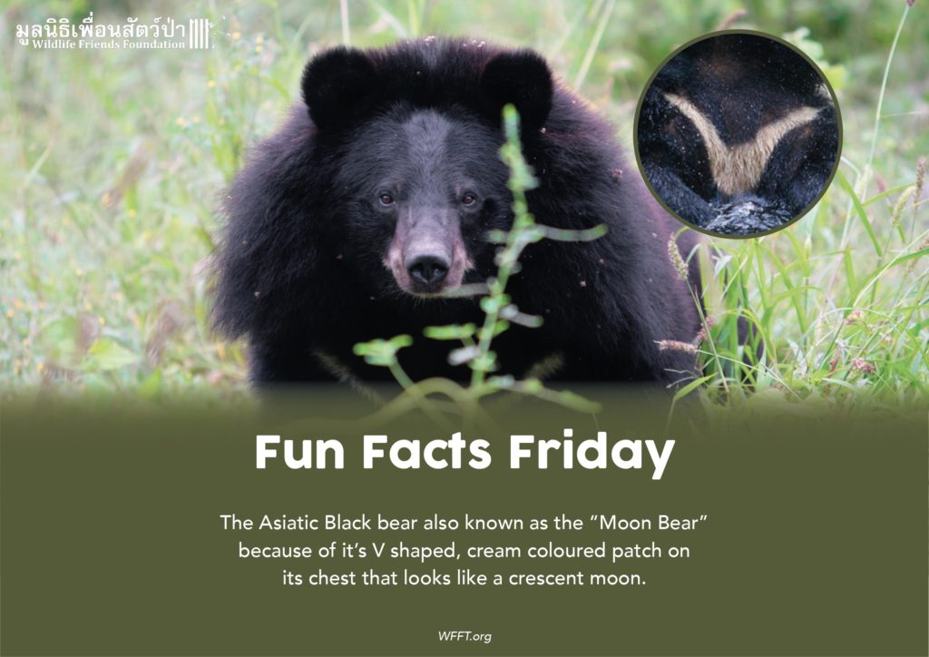 Fun Facts friday