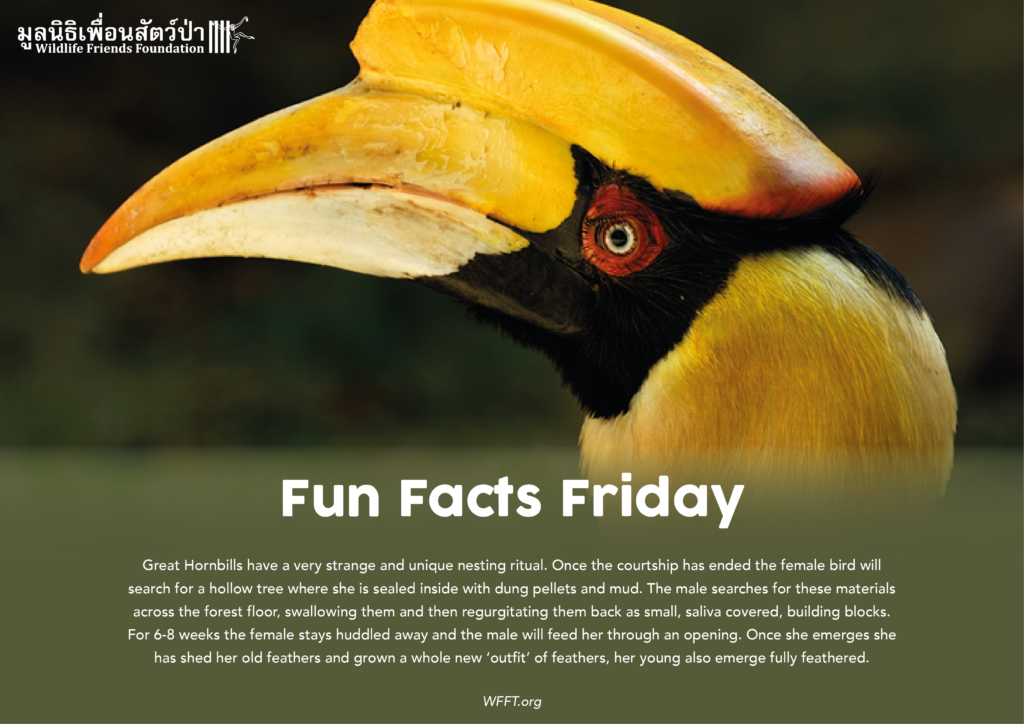 Fun Facts Friday