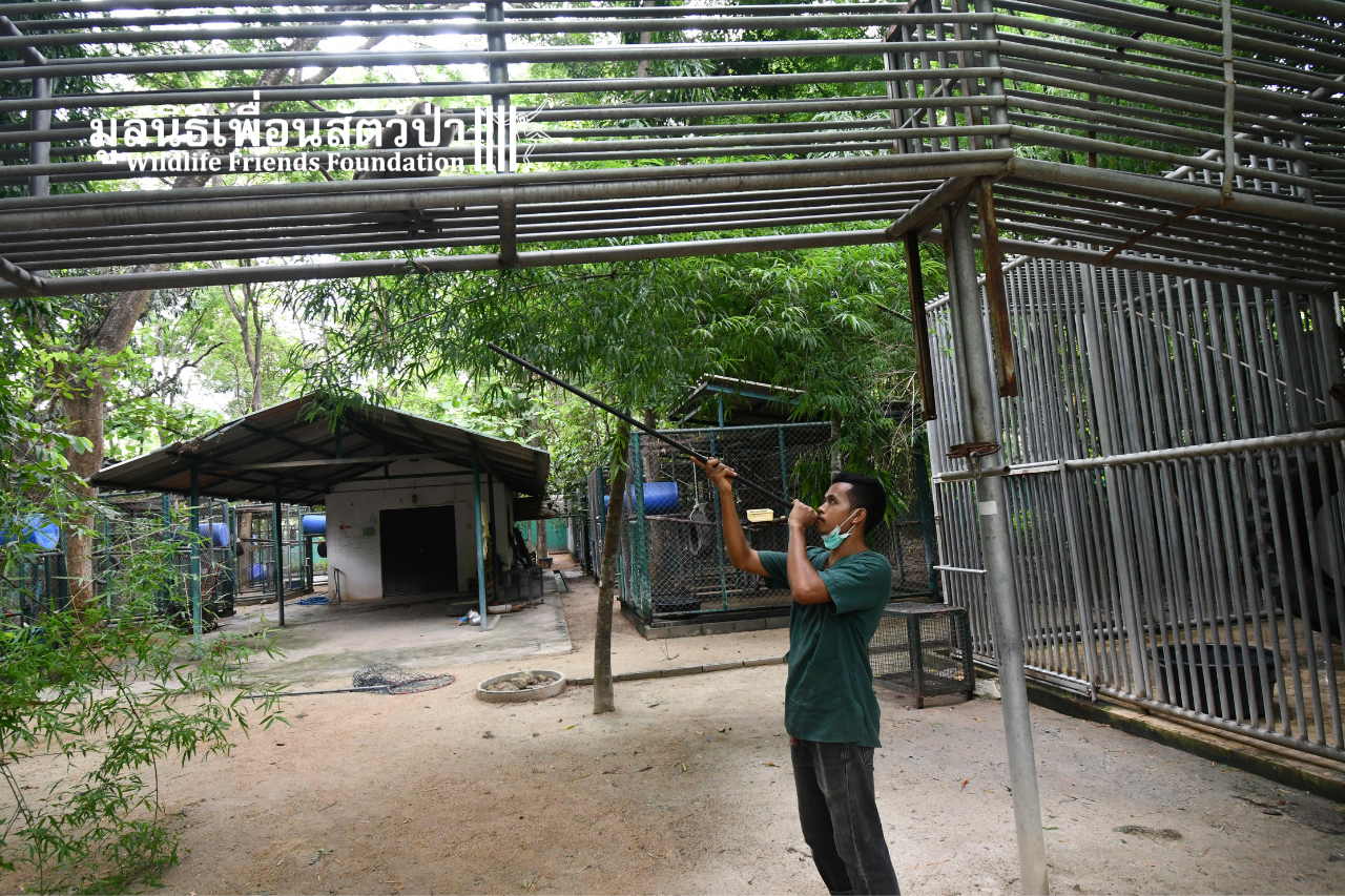 Darting For Health Check