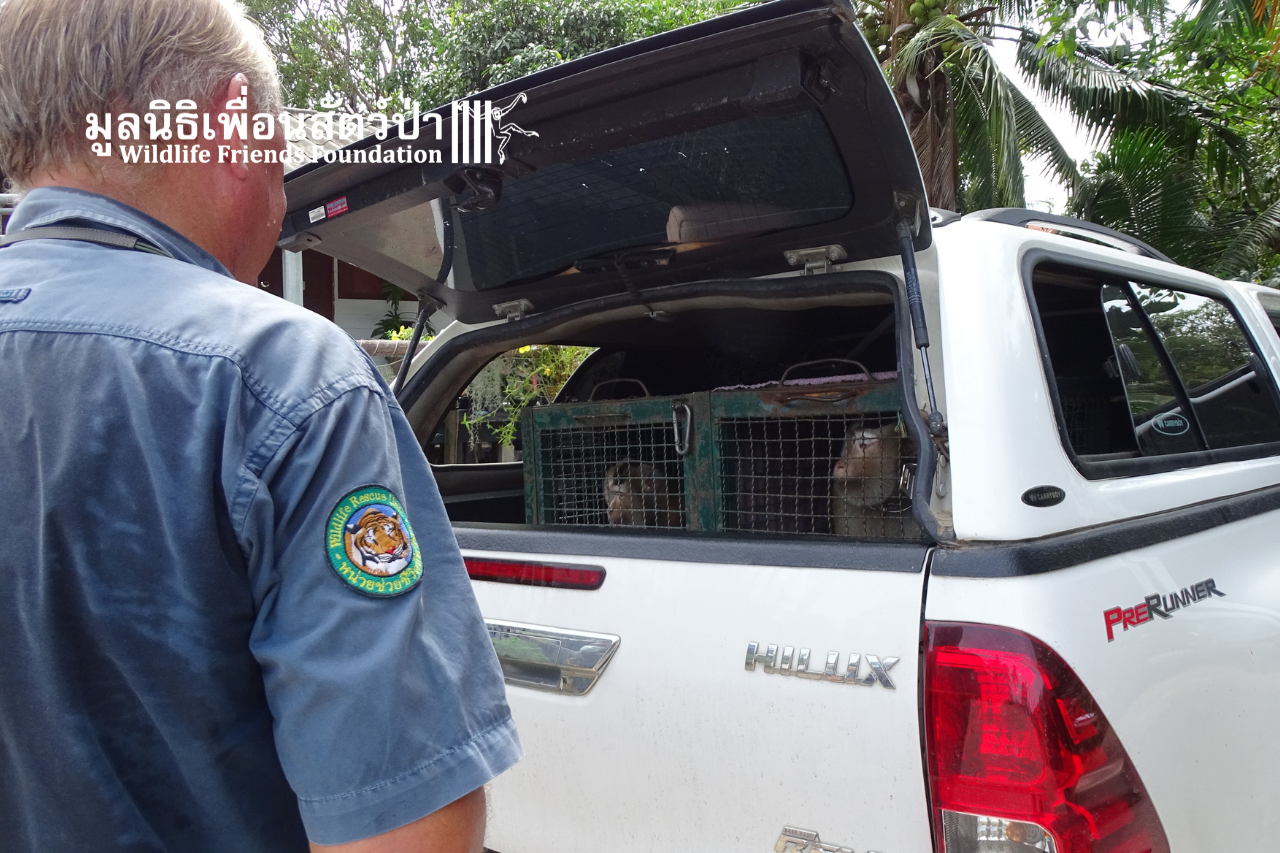 Jor And Lek Rescue 2